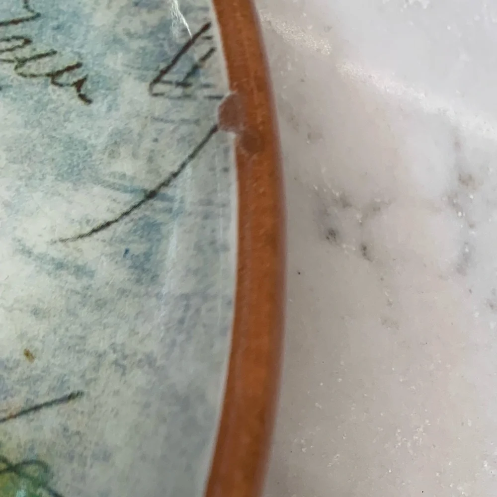 Williams Sonoma Paysage Italy Ceramic Pasta Bowl Plate 9”​